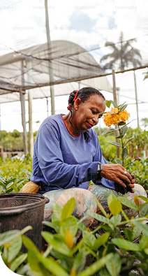 Person gardening